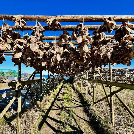 Appartement Seaside View Lofoten *